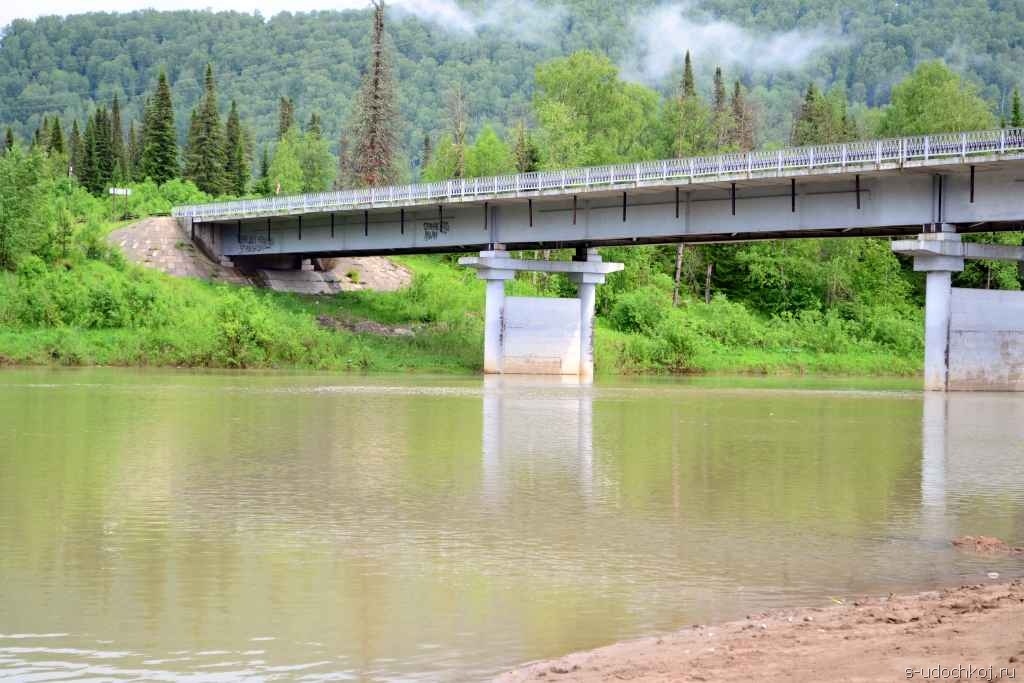 Река Лебедь Горный Алтай - информация о рыбной ловле